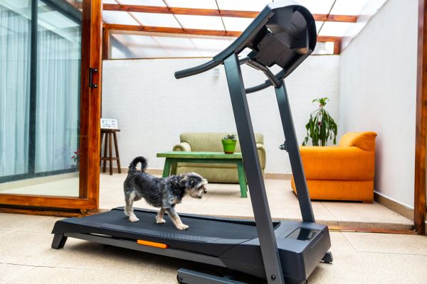 Cost of Treadmill Installation in Mesquite