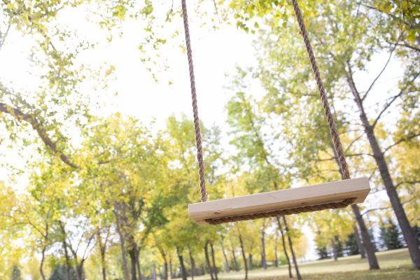 Cost of Tree Swing Installation in Mesquite