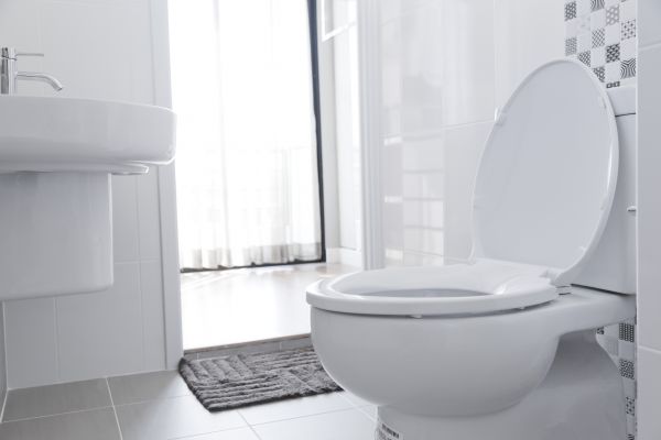 Cost of Toilet Seat Installation in Mesquite