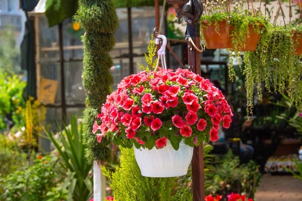 Cost of Hanging Planter Installation in Mesquite