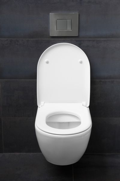 Cost of Toilet Lid Installation in Mesquite