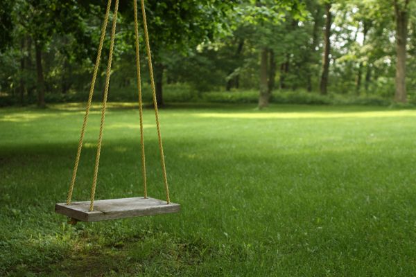 Cost of Rope Swing Installation in Mesquite
