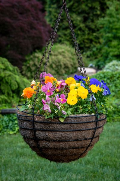 Cost of Hanging Basket Installation in Mesquite