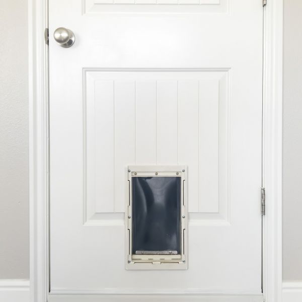 Cost of Pet Door Repair in Mesquite