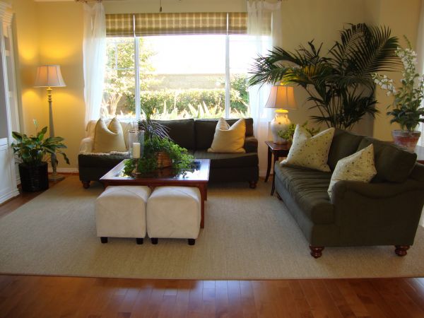 Cost of Valance Rod Installation in Mesquite