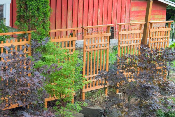 Wood Trellis Mounting in Mesquite