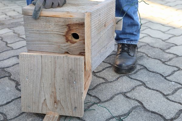 Cost of Birdhouse Mounting in Mesquite