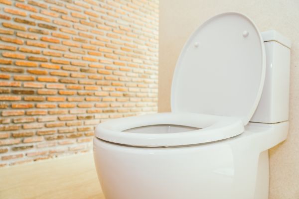 Cost of Toilet Seat Repair in Mesquite
